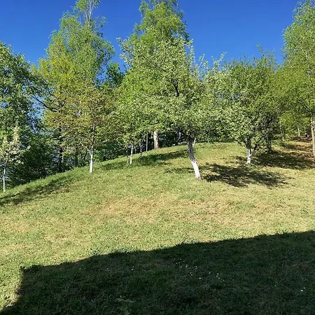 1 * Sarajevo